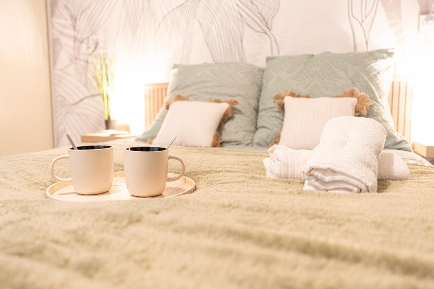 Appartement 1 Chambre avec Baignoire Spa