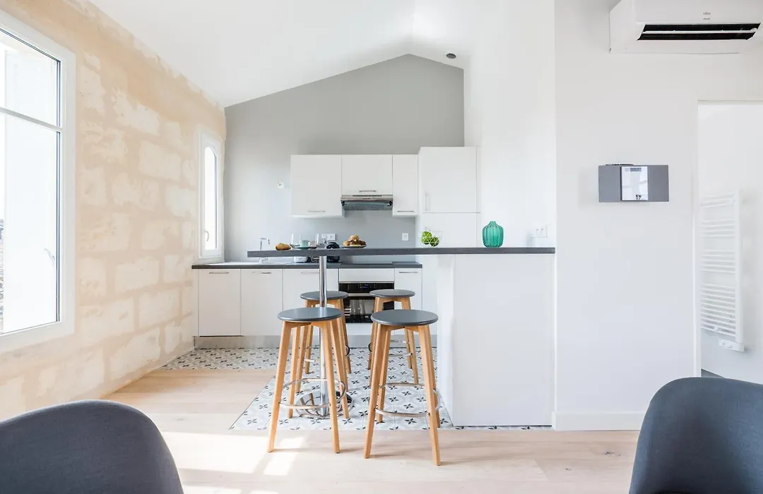 Magnifiques Appartements Climatises En Plein Coeur Des Chartrons-1