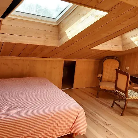 L'annexe de ma cabane-2