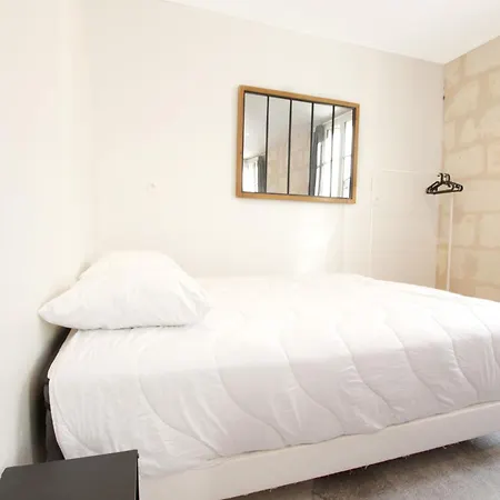Magnifiques Appartements Climatises En Plein Coeur Des Chartrons-2