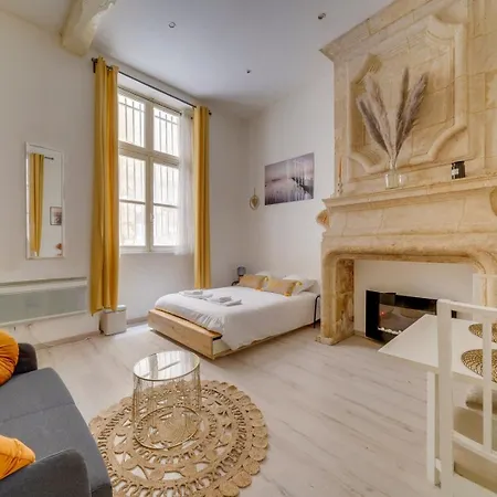 Charming hypercentre apartment Bordeaux-3