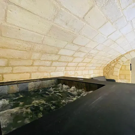 Loft Bordelais-3