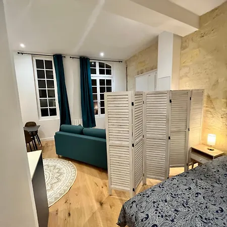 Grand studio Loft Vieux Bordeaux-3