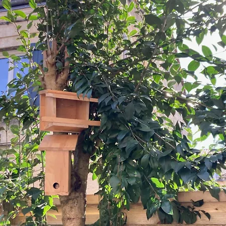 Chambre dans un appartement avec jardin-2