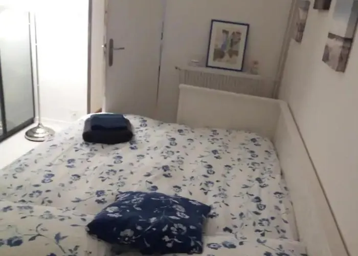 Chambre chez l'habitante avec salle de bain et cuisine communes - Présence d'un chat Bordeaux