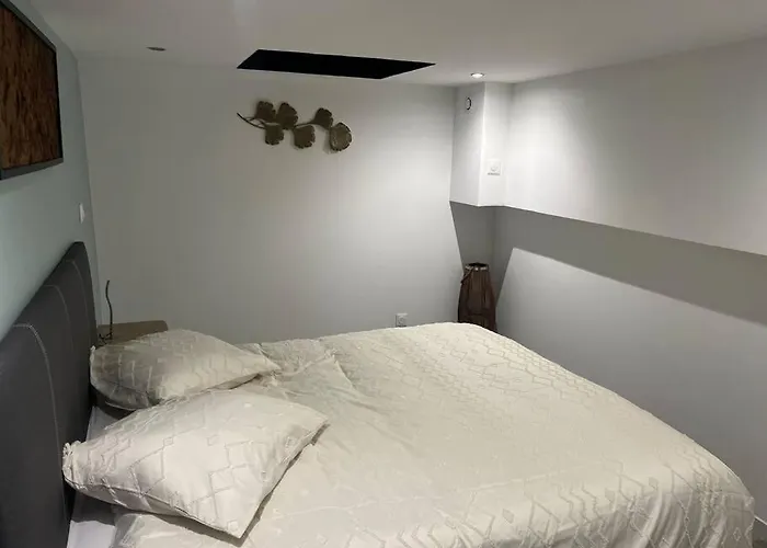 Appartement Souplex bordeaux gare saint jean