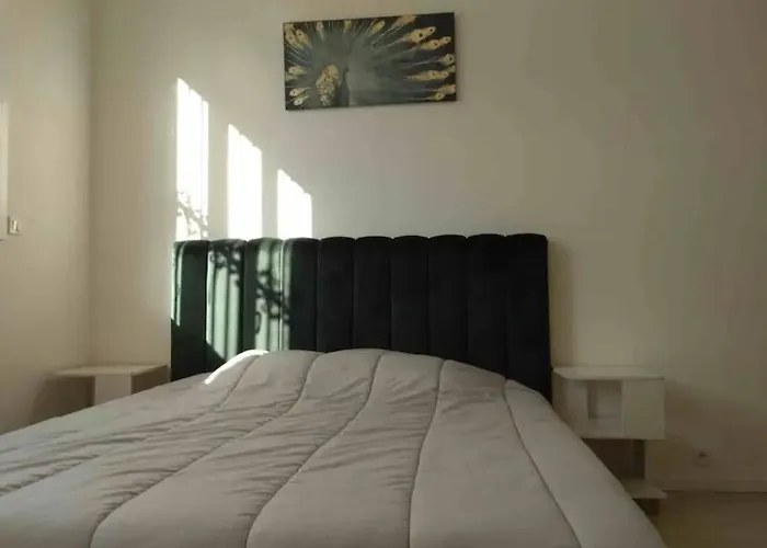 Chambre privée avec SDB au Jardin Public Bordeaux