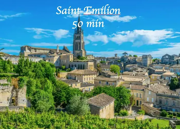 Studio Cosy Wifi Terrasse Chu-Cite Administrative-Primrose Bordeaux