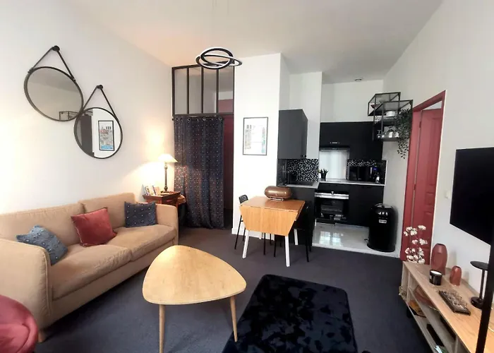 Ravissant appartement entièrement rénové T2, proche de la rue Saint Catherine Bordeaux