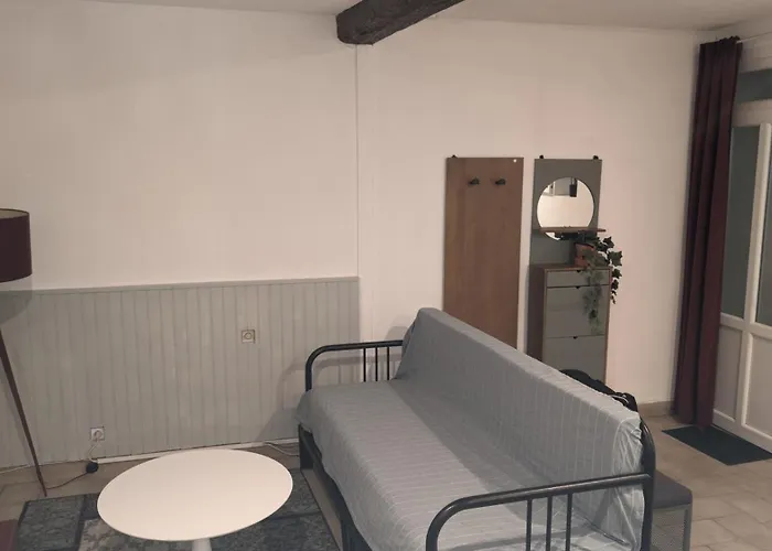 Bordeaux : Grand Studio Cosy Avec Cour Privative