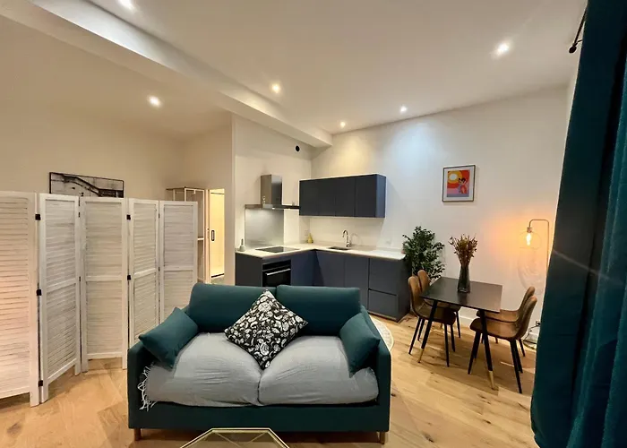 Grand studio Loft Vieux Bordeaux
