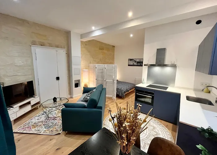 Grand studio Loft Vieux Bordeaux