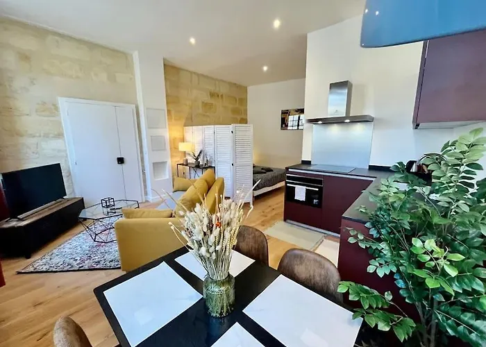 Appartement Petit loft Vieux Bordeaux