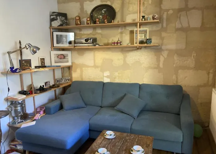 Chambre dans un appartement avec jardin Bordeaux