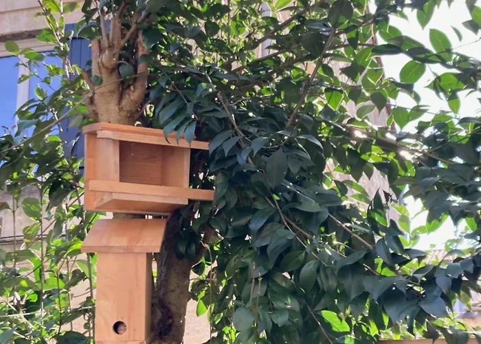 Chambre dans un appartement avec jardin Bordeaux