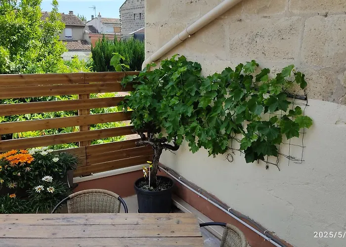 Appartement Les Bonbonieres d'Andrea Gavinies Pellegrin à Bordeaux