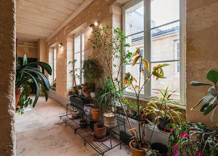 Notre Dame Apartment Bordeaux