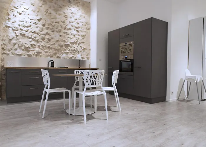 Ausone Beautiful Loft Apartment In Historical Center + Terrace And Parking Bordeaux